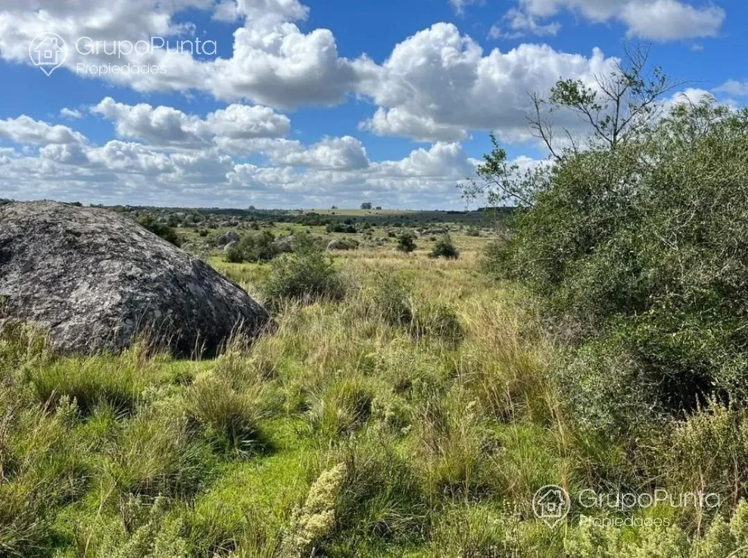 Campo en Mal Abrigo, propiedad 281166 -Imagen 13
