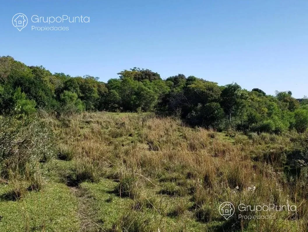Campo en Mal Abrigo, propiedad 281166 -Imagen 14