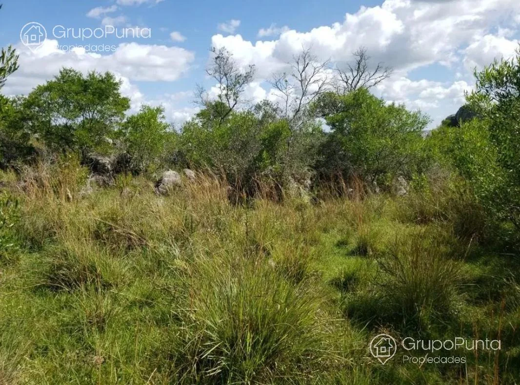 Campo en Mal Abrigo, propiedad 281166 -Imagen 15