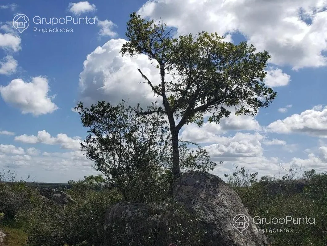 Campo en Mal Abrigo, propiedad 281166 -Imagen 3