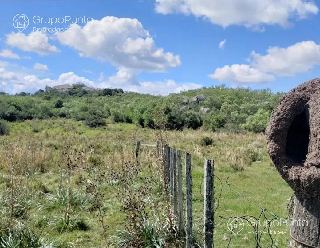 Campo en Mal Abrigo, propiedad 281166 -Imagen 4