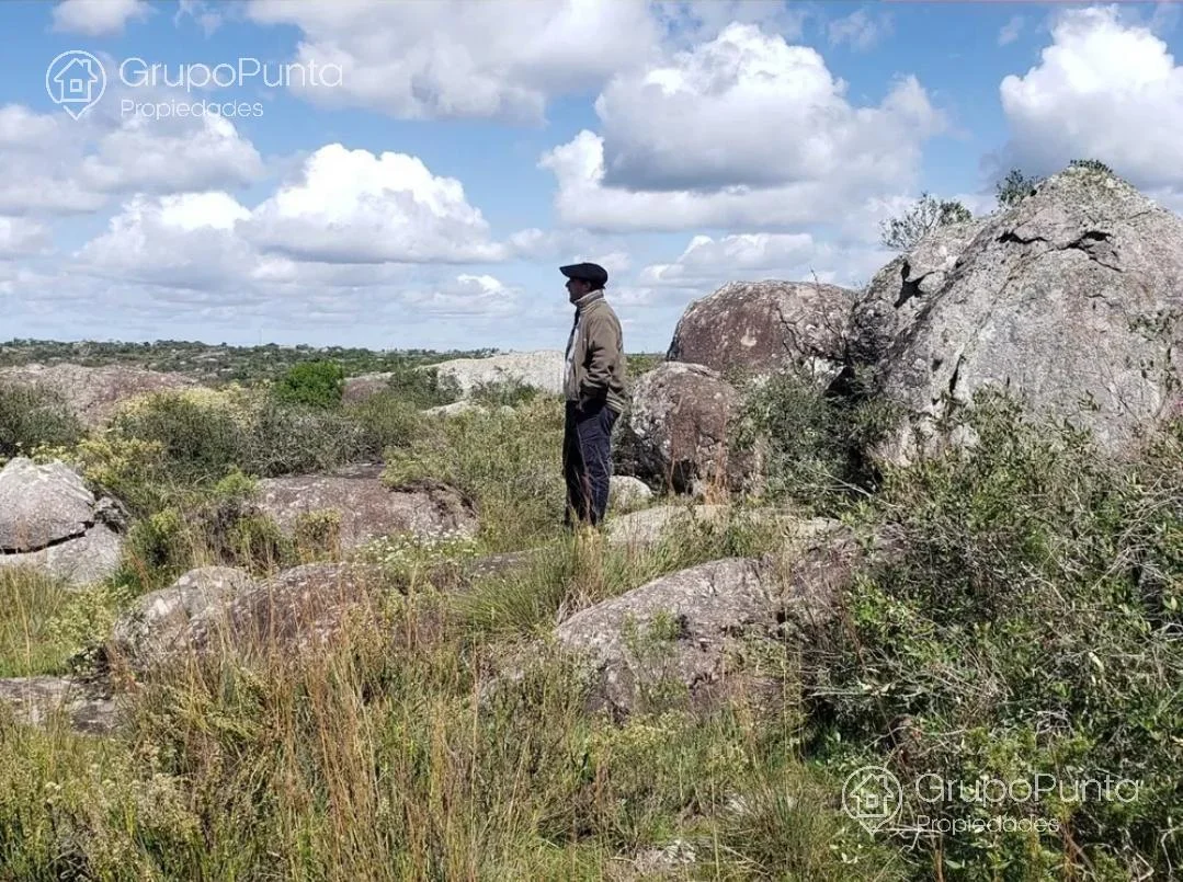 Campo en Mal Abrigo, propiedad 281166 -Imagen 5
