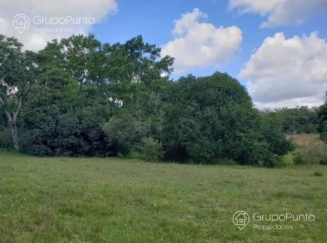 Campo en Mal Abrigo, propiedad 281166 -Imagen 6
