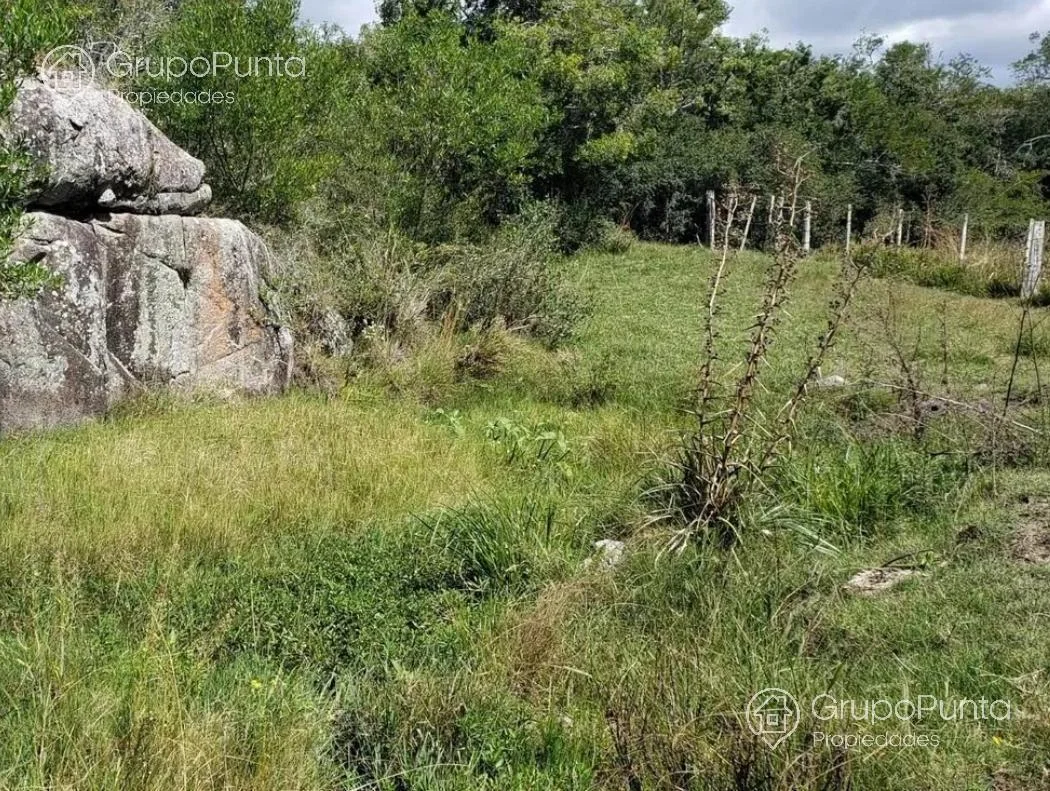 Campo en Mal Abrigo, propiedad 281166 -Imagen 7