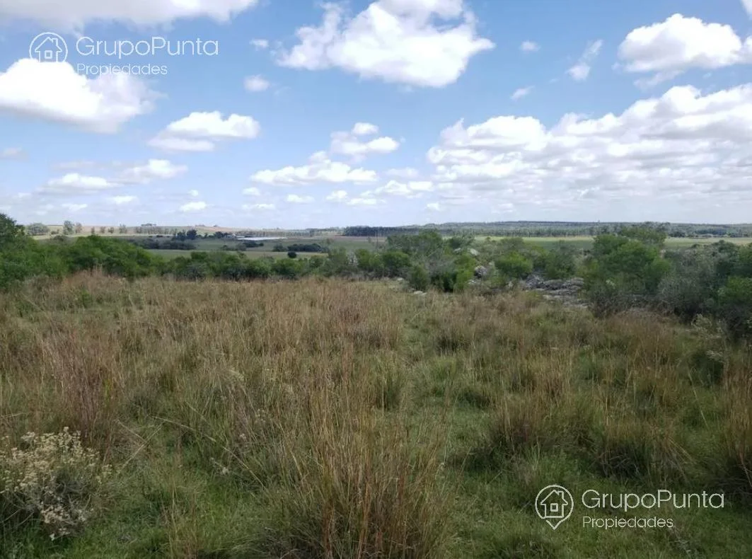 Campo en Mal Abrigo, propiedad 281166 -Imagen 8