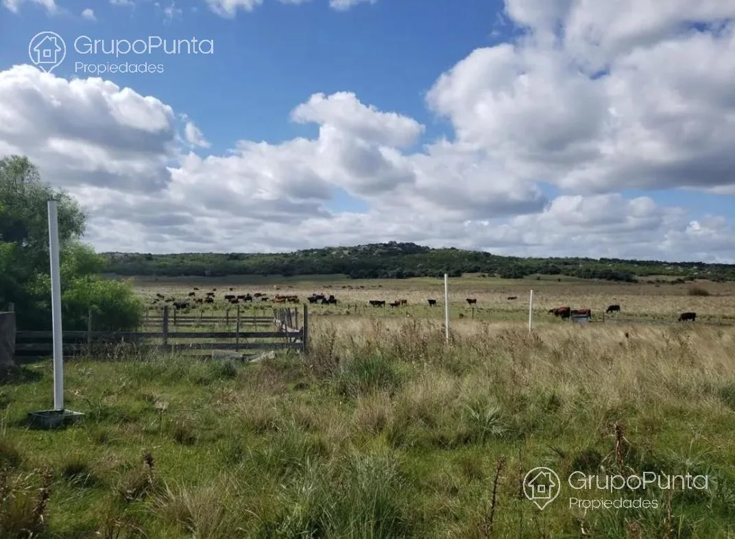 Campo en Mal Abrigo, propiedad 281166 -Imagen 9