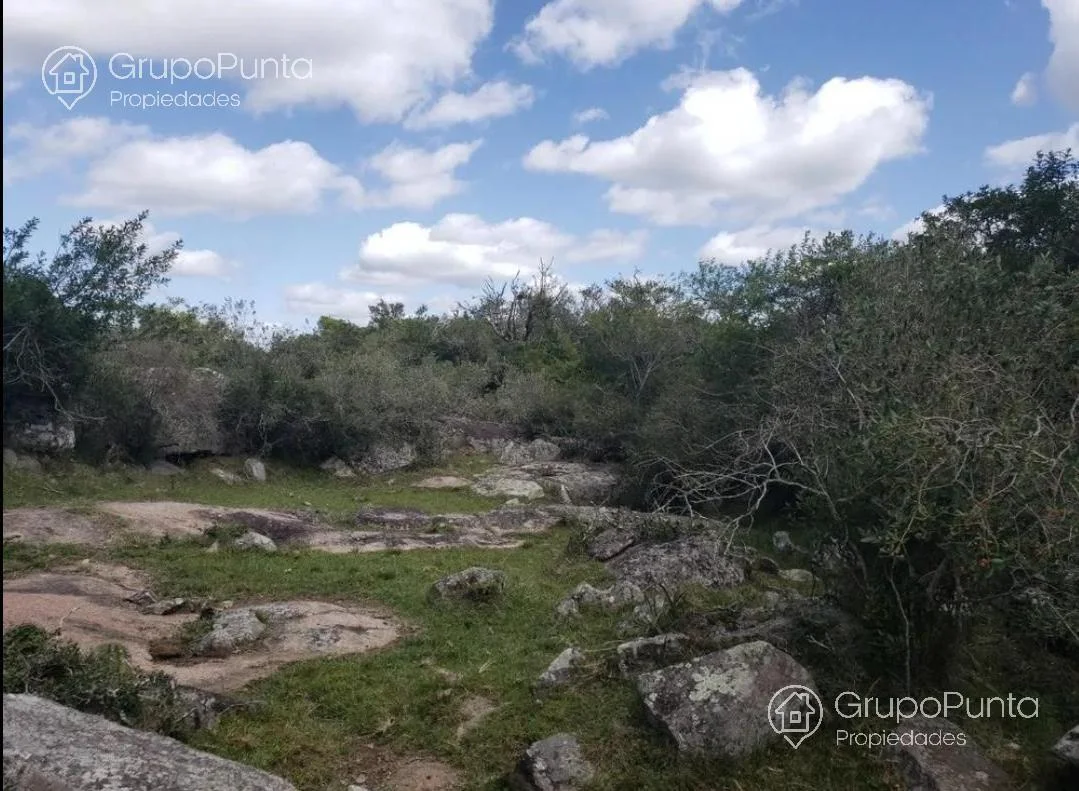 Campo en Mal Abrigo, propiedad 281166 -Imagen 10