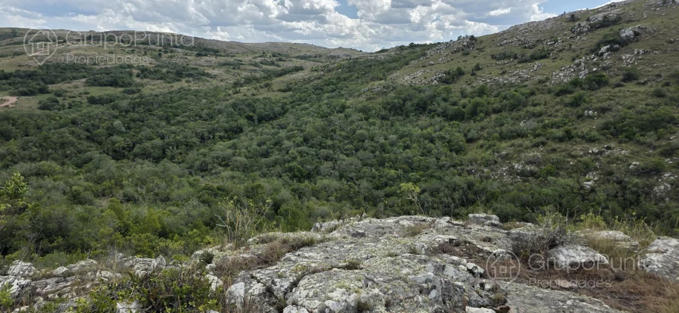 Chacra en Aigua, propiedad 281363 -Imagen 13