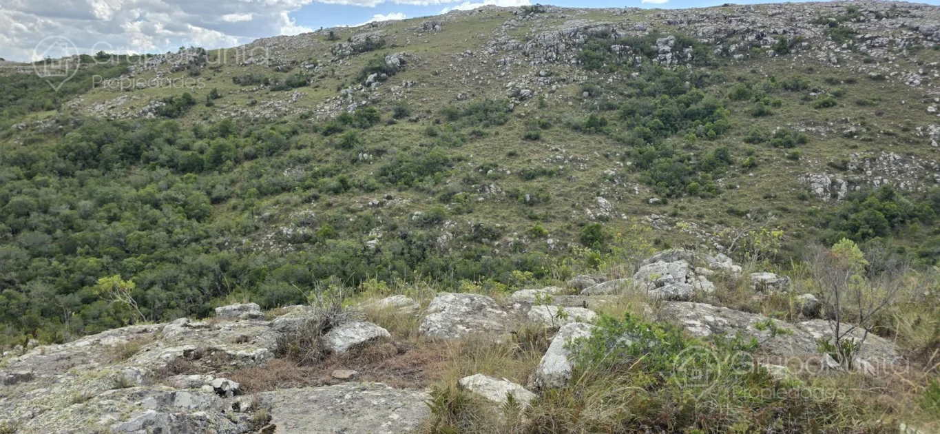 Chacra en Aigua, propiedad 281363 -Imagen 14