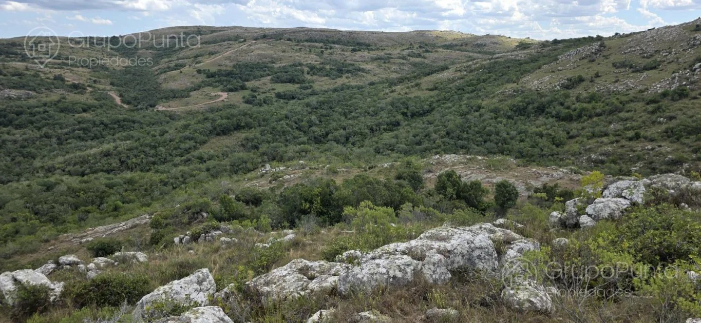 Chacra en Aigua, propiedad 281363 -Imagen 3