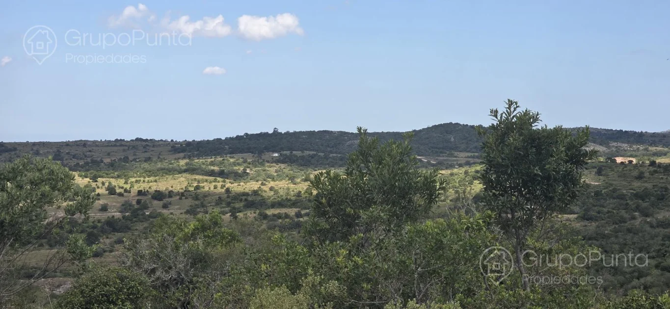 Chacra en Aigua, propiedad 281363 -Imagen 23