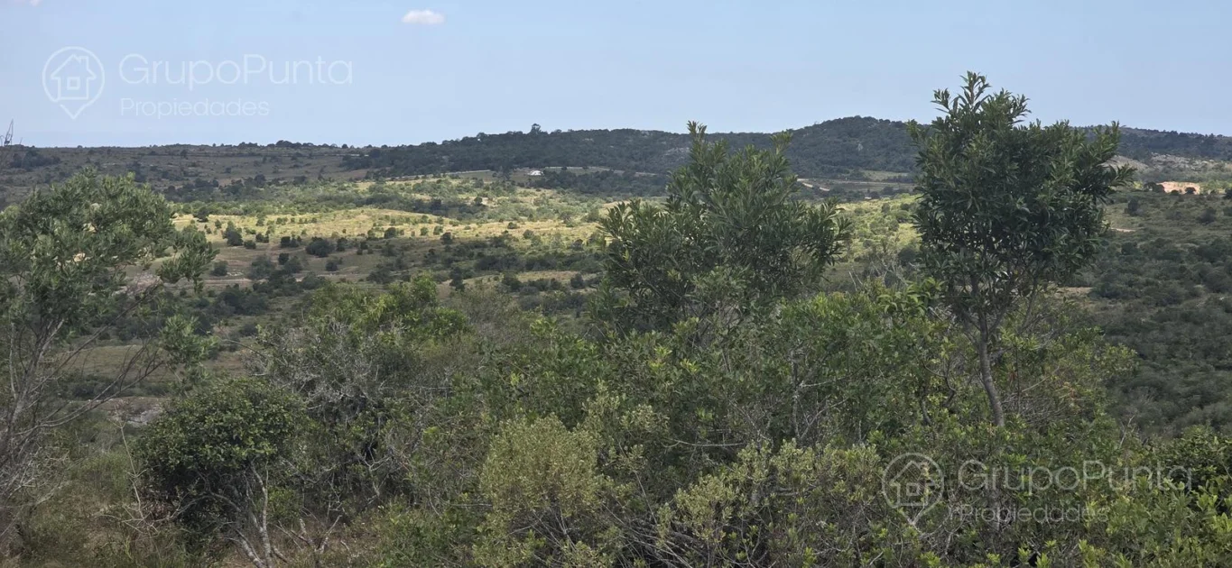 Chacra en Aigua, propiedad 281363 -Imagen 24