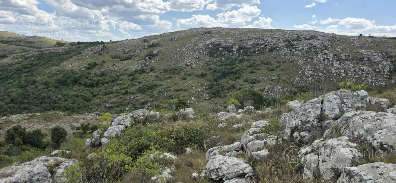 Chacra en Aigua, propiedad 281363 -Imagen 4