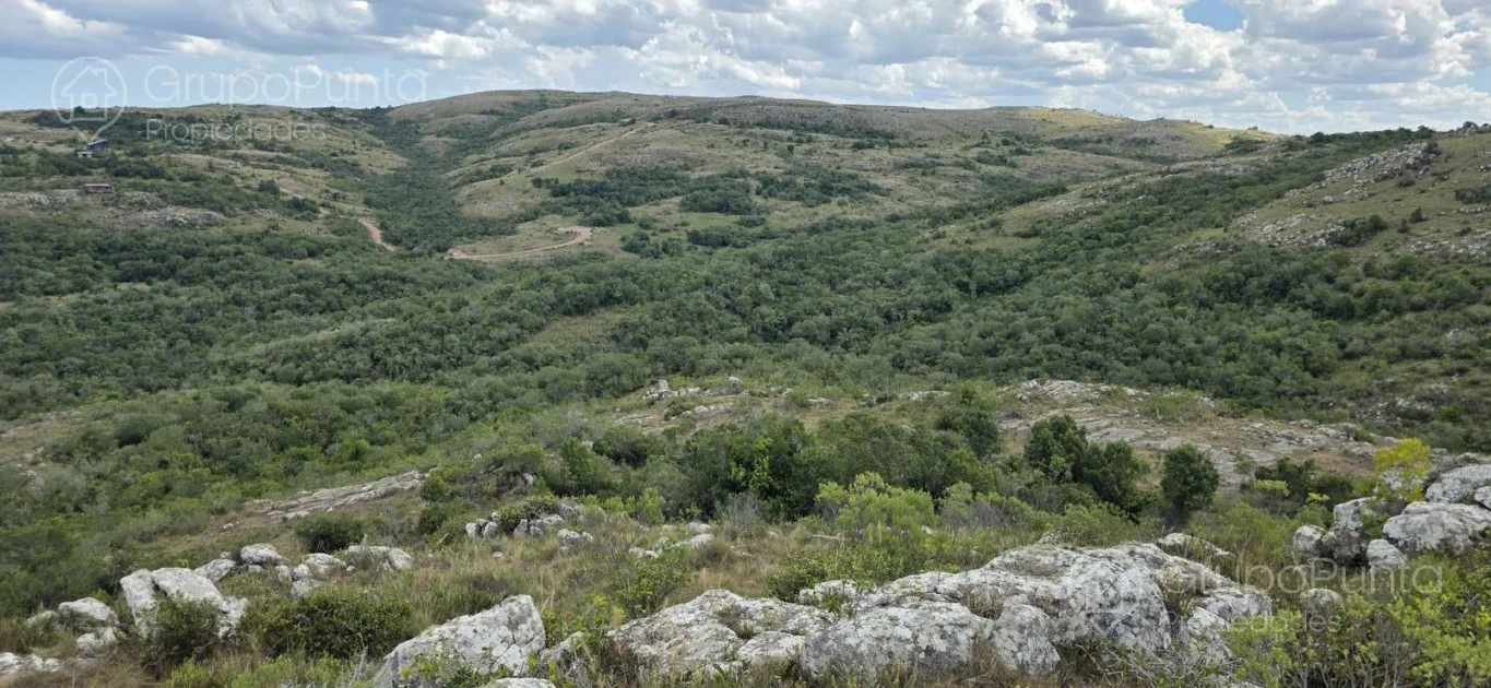 Chacra en Aigua, propiedad 281363 -Imagen 6