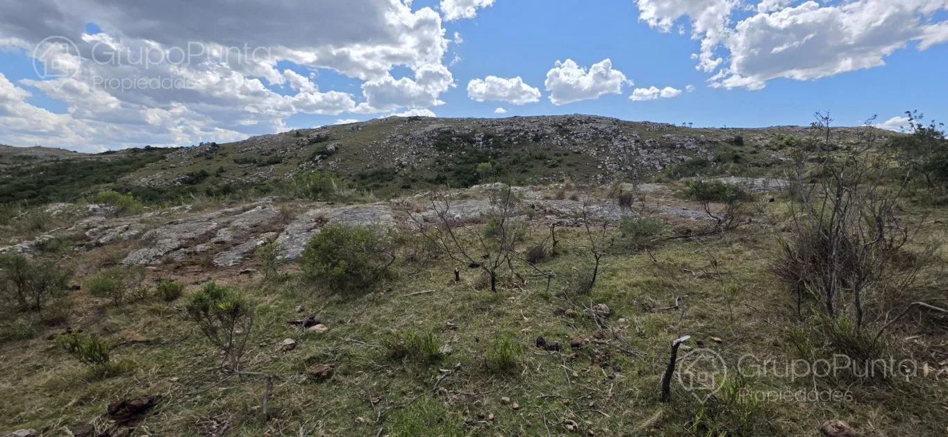 Chacra en Aigua, propiedad 281363 -Imagen 9
