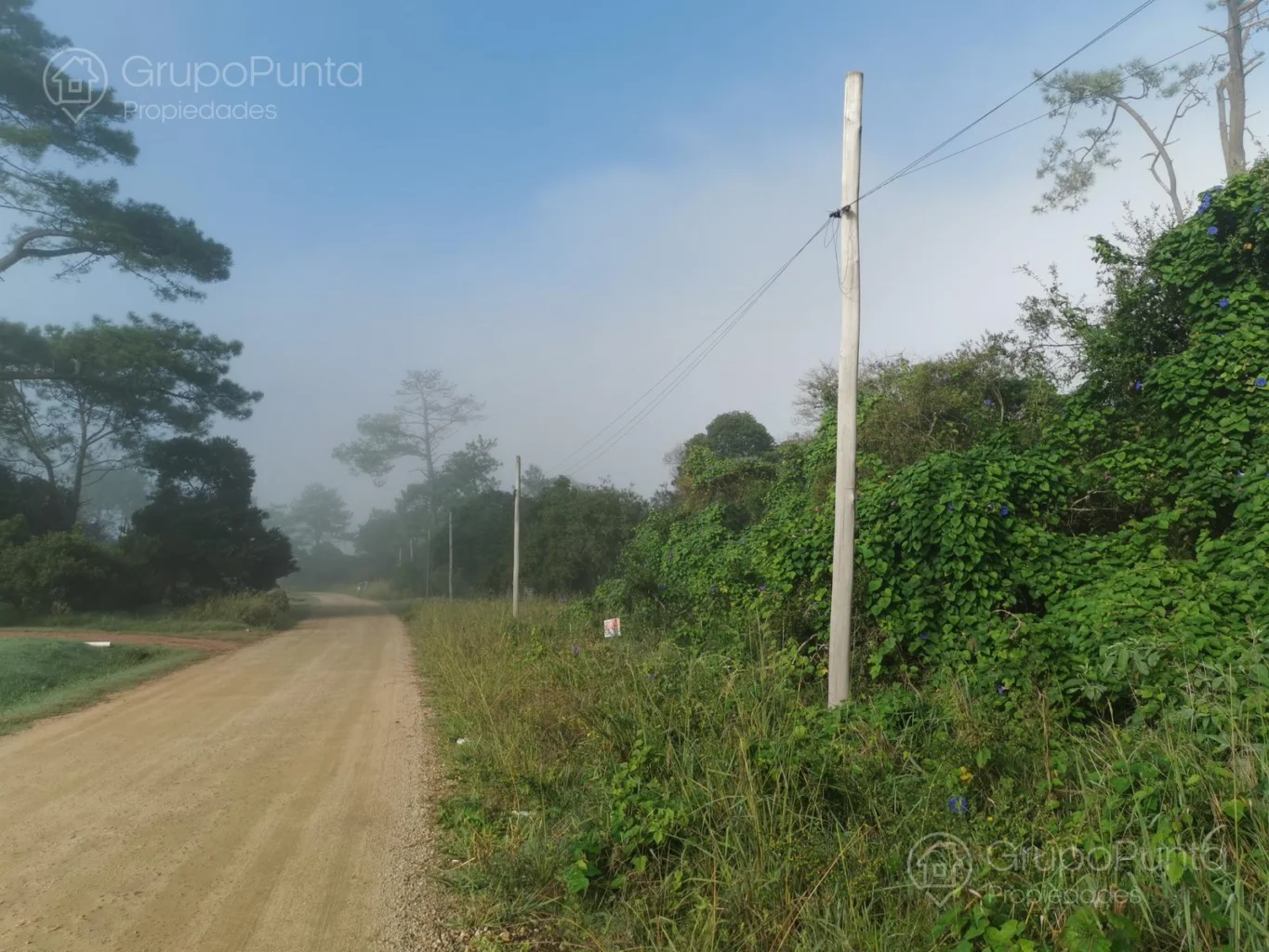 Terreno en Maldonado, propiedad 281260 -Imagen 1