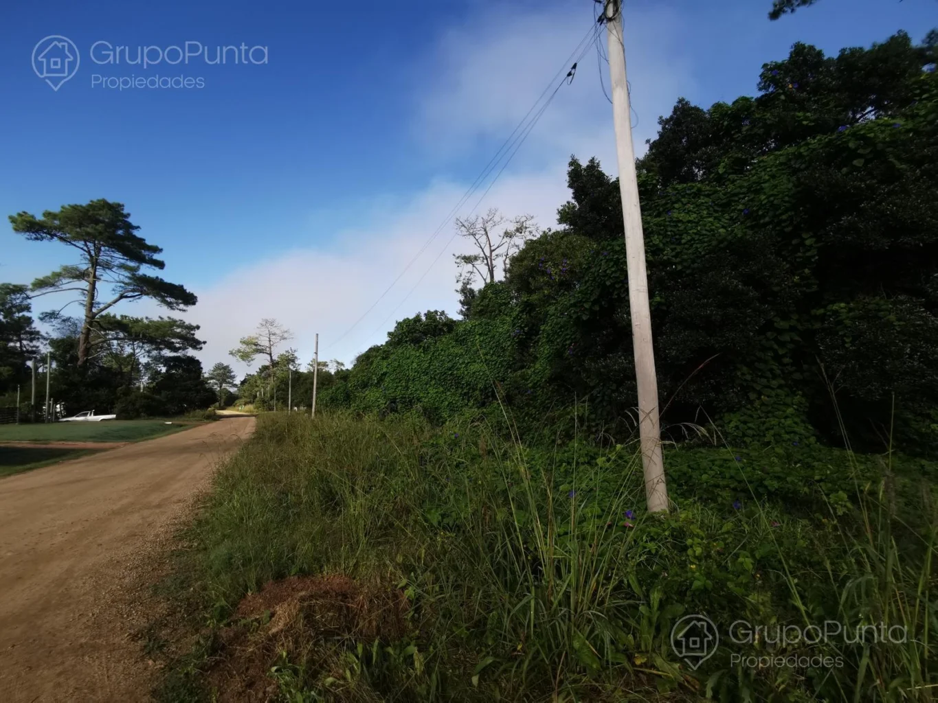 Terreno en Maldonado, propiedad 281260 -Imagen 11