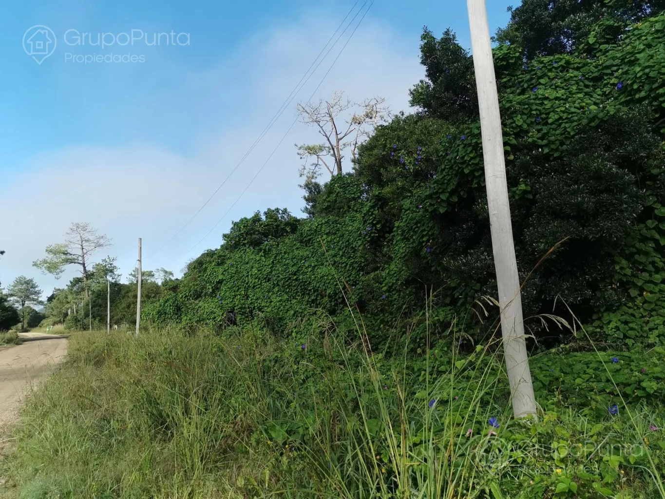 Terreno en Maldonado, propiedad 281260 -Imagen 12