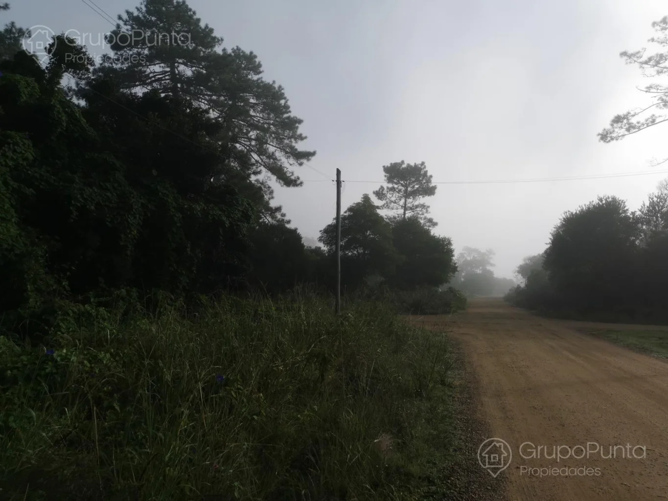 Terreno en Maldonado, propiedad 281260 -Imagen 9