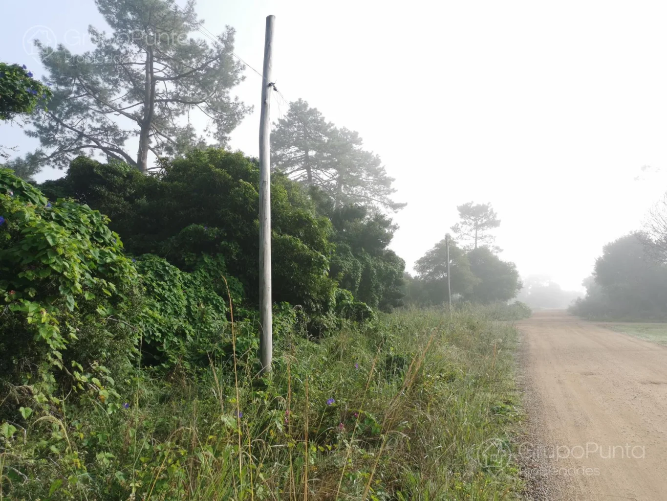 Terreno en Maldonado, propiedad 281260 -Imagen 10