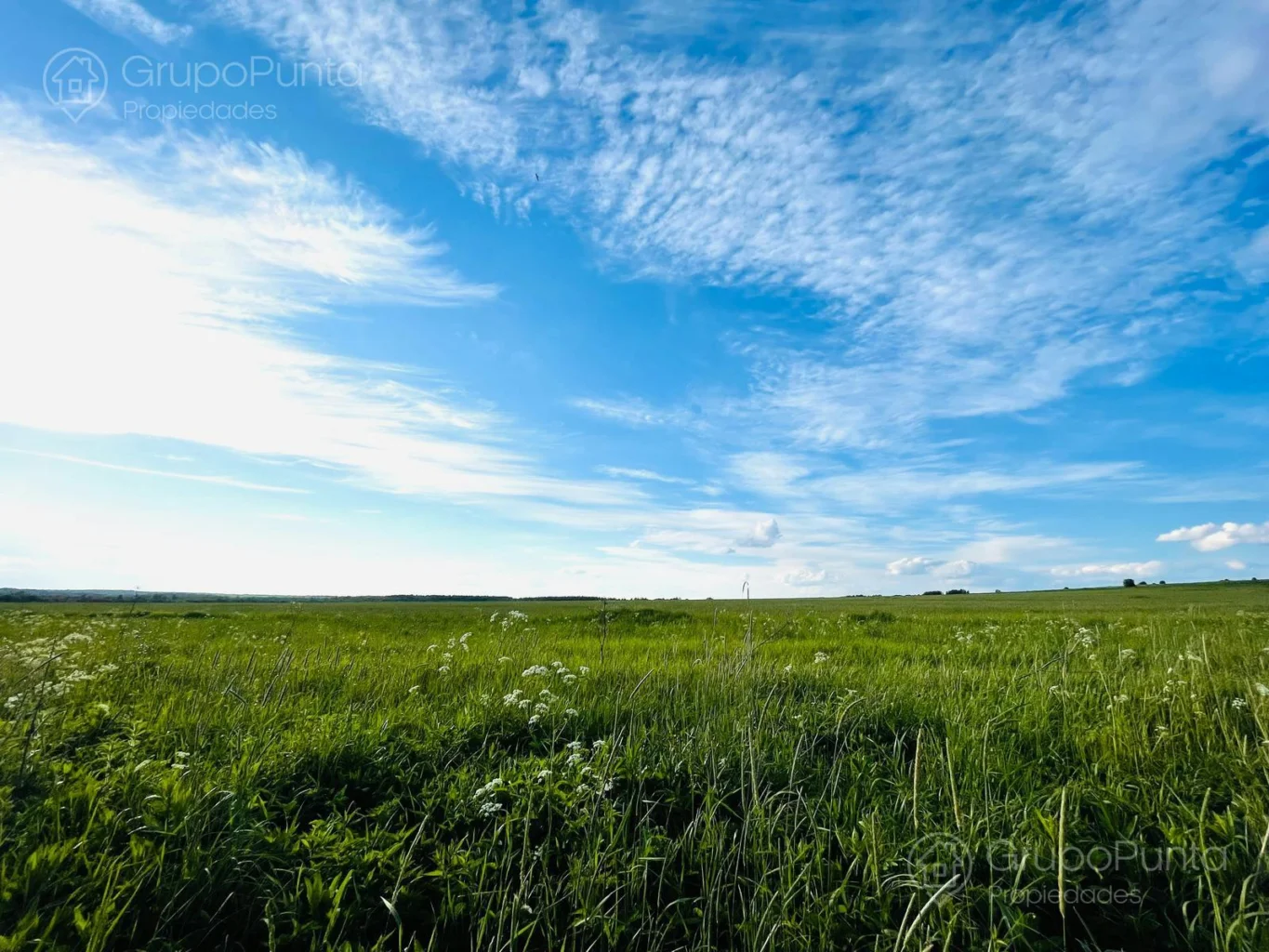 Campo en Rocha, propiedad 288288 -Imagen 1