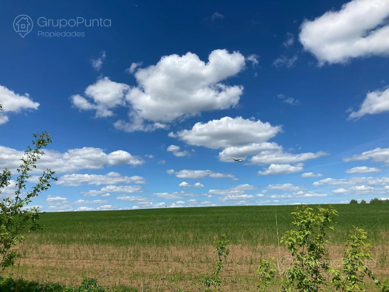 Campo en Rocha, propiedad 288288 -Imagen 2