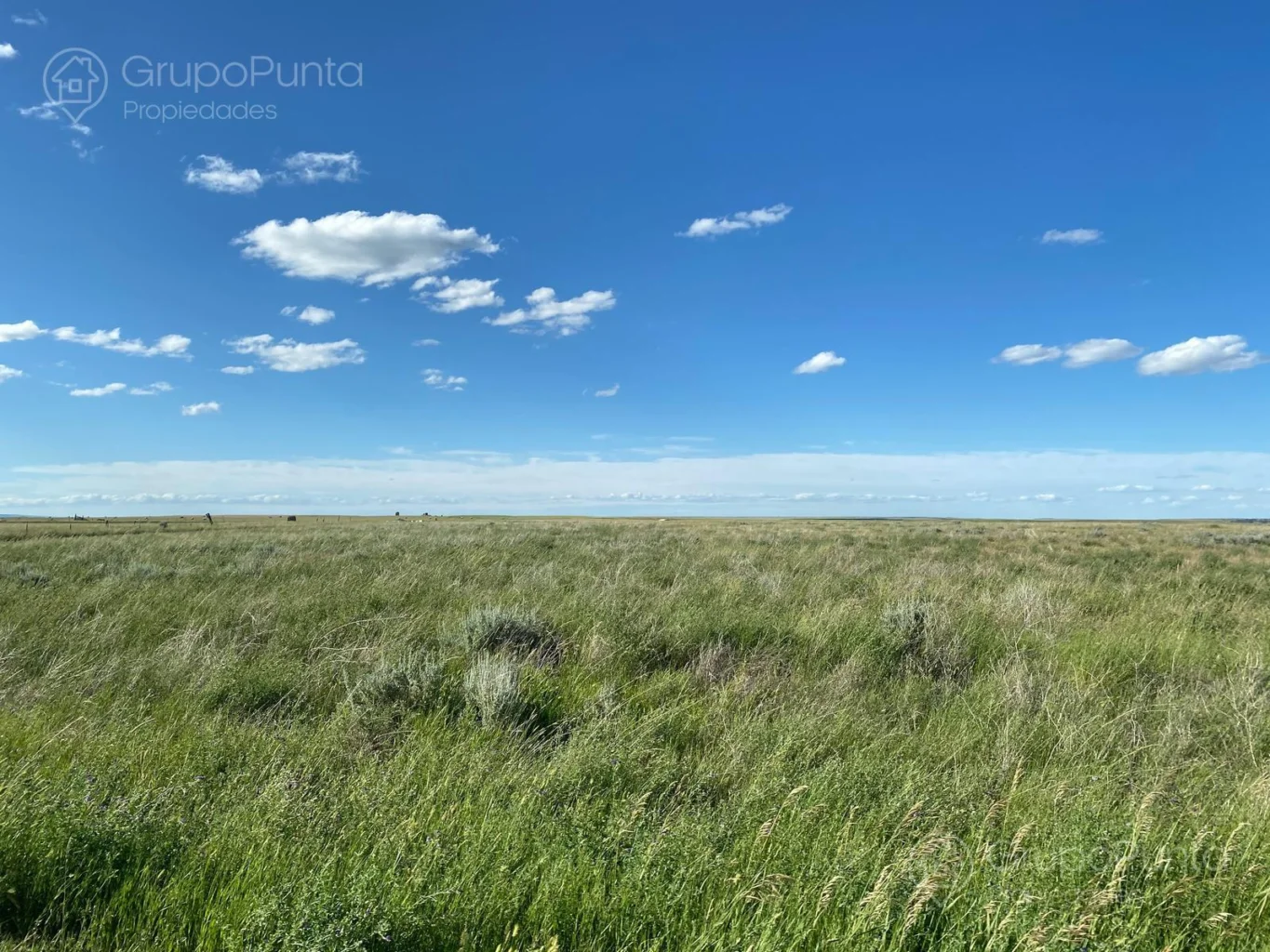 Campo en Rocha, propiedad 288288 -Imagen 3