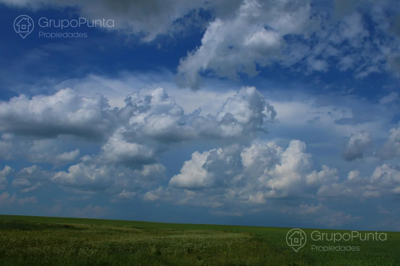 Campo en Rocha, propiedad 288288 -Imagen 4