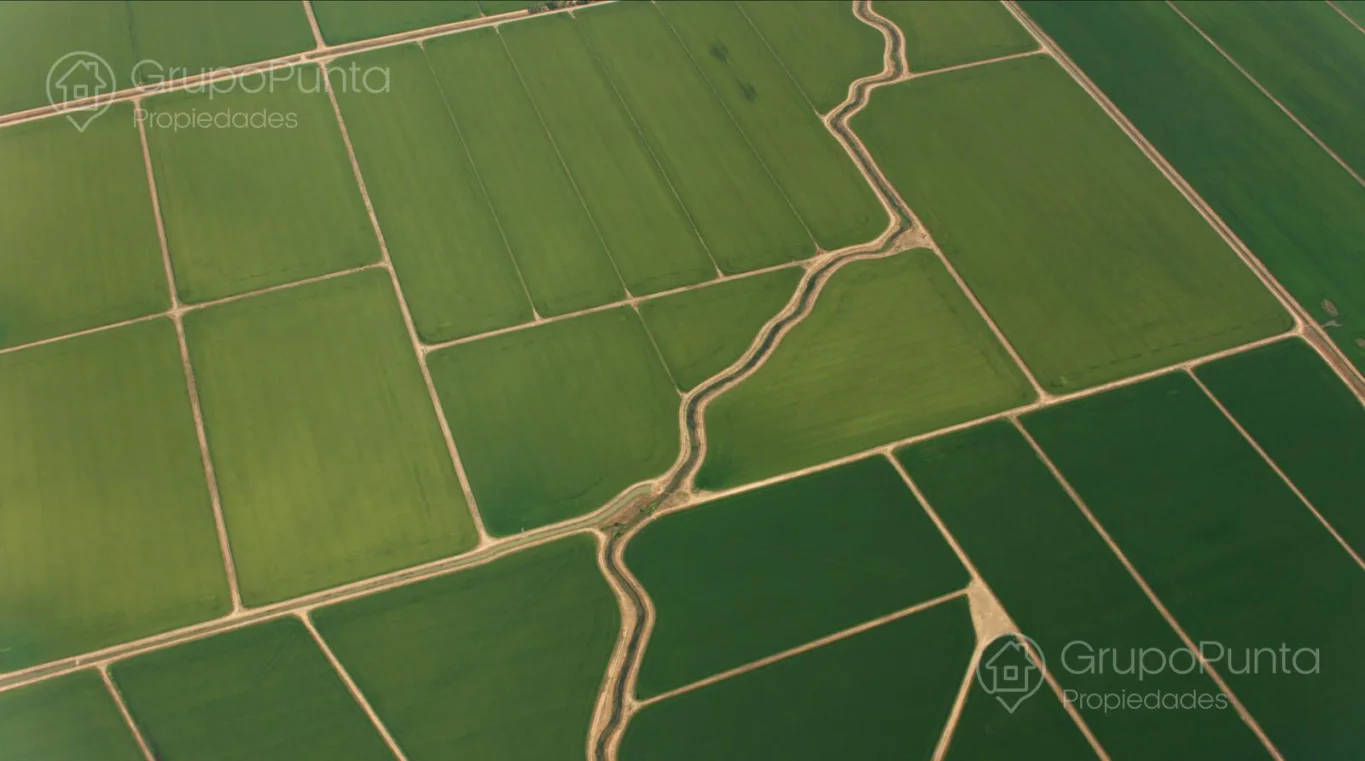 Campo en Rocha, propiedad 288800 -Imagen 1