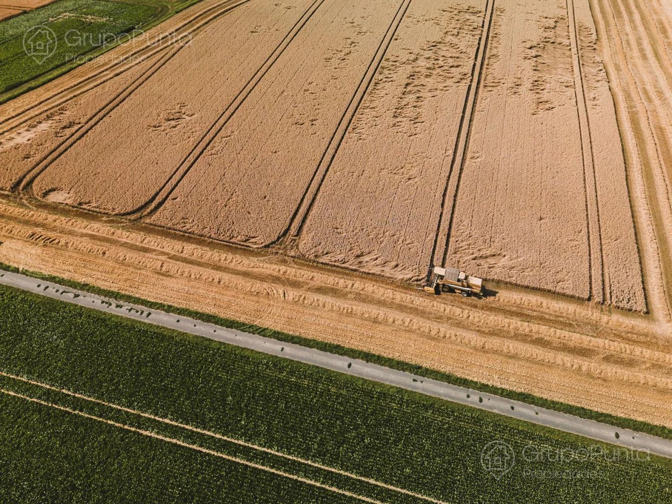 Campo en Rocha, propiedad 288800 -Imagen 2