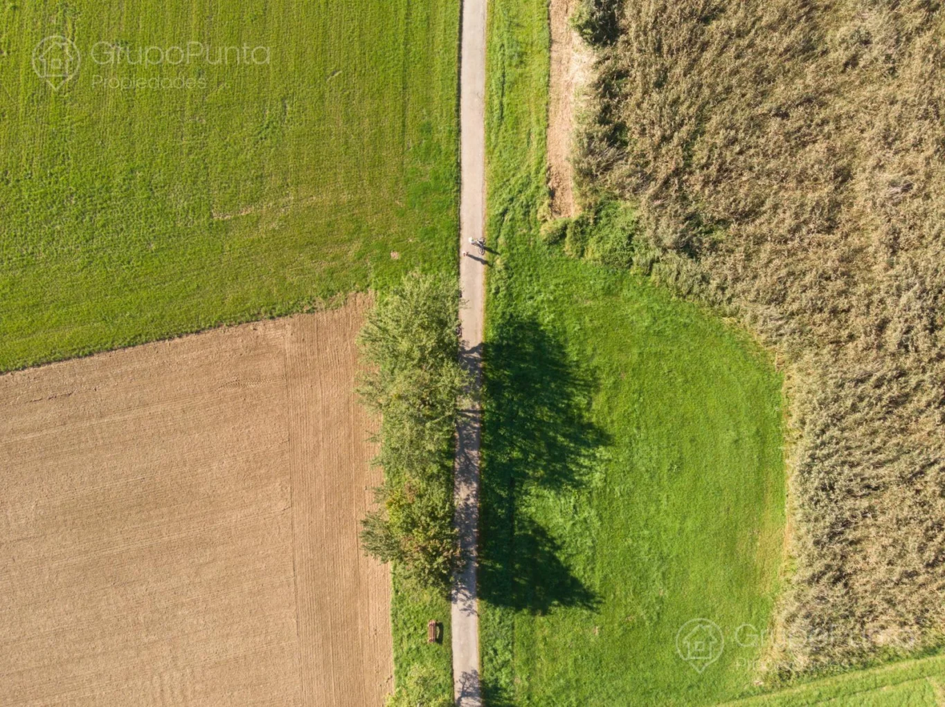 Campo en Rocha, propiedad 288800 -Imagen 3