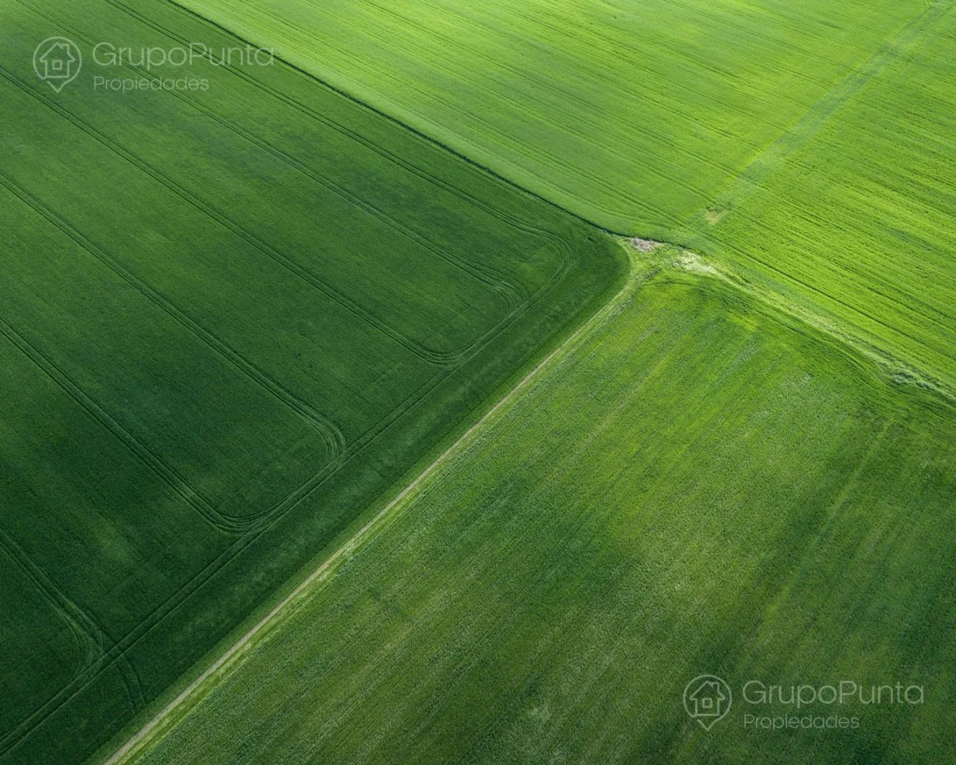 Campo en Rocha, propiedad 288800 -Imagen 4