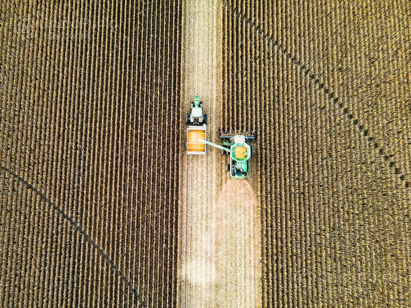 Campo en Rocha, propiedad 288800 -Imagen 5