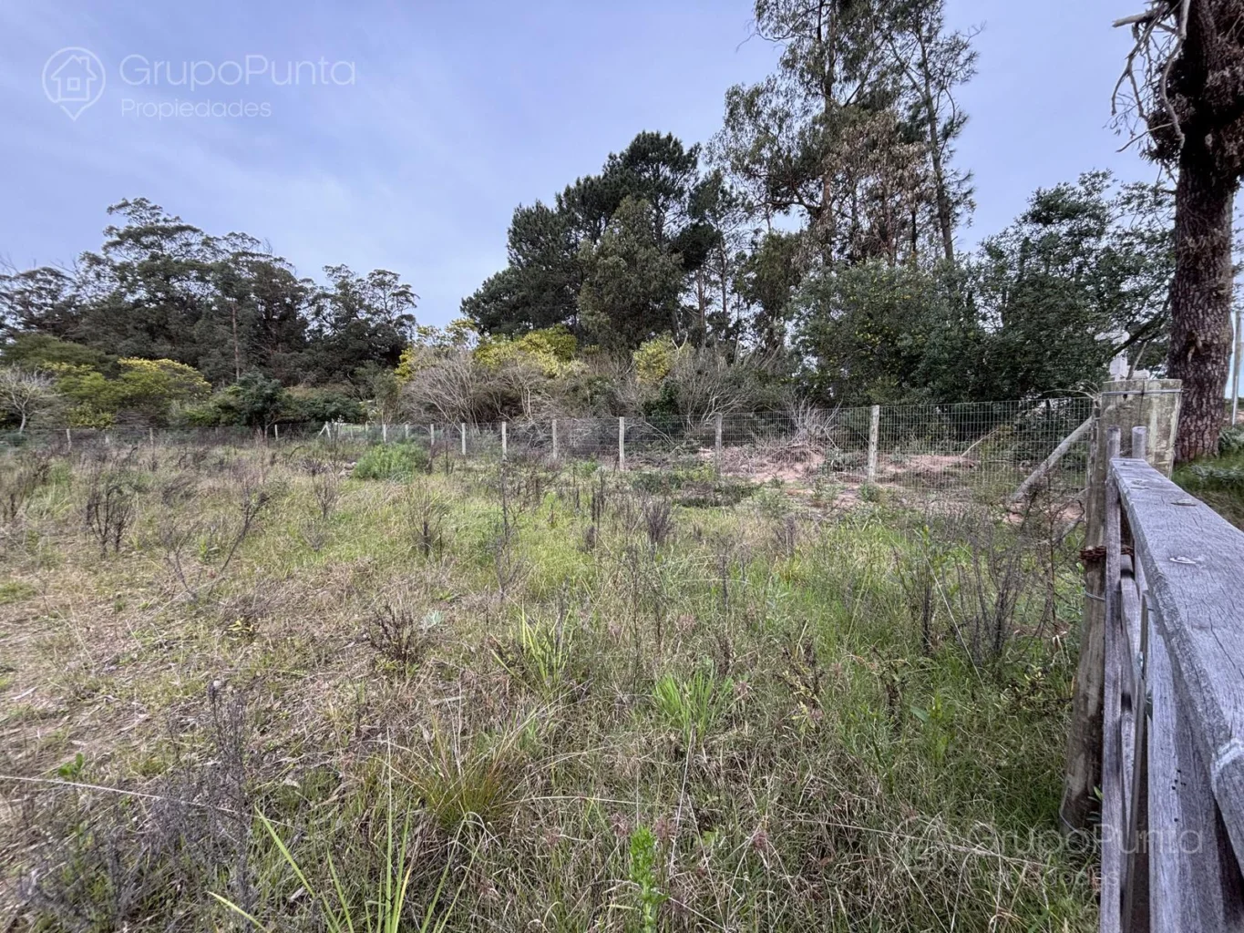 Terreno en Ocean Park, propiedad 289188 -Imagen 9