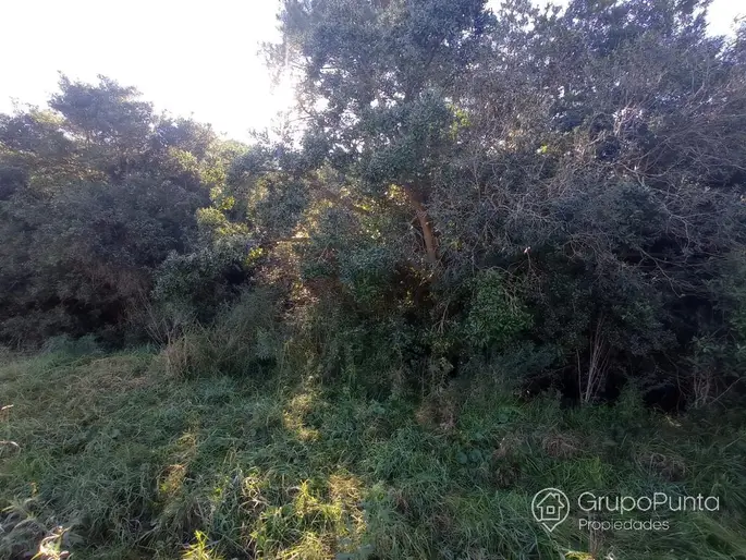 imagen  de la propiedad 280394