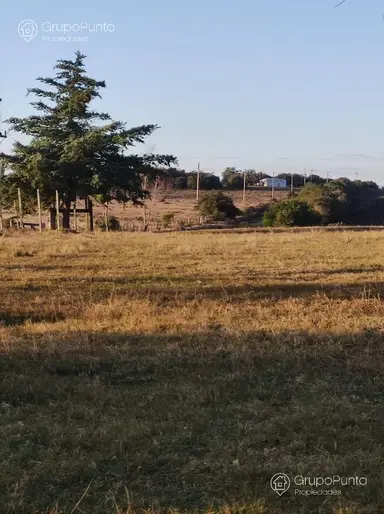 imagen  de la propiedad 280634