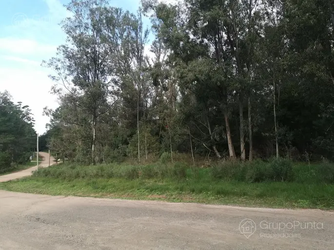 imagen  de la propiedad 281338