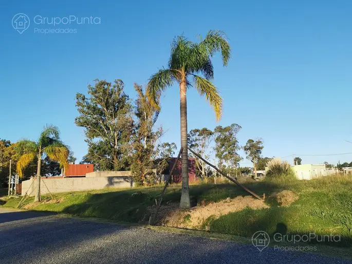 imagen  de la propiedad 281398