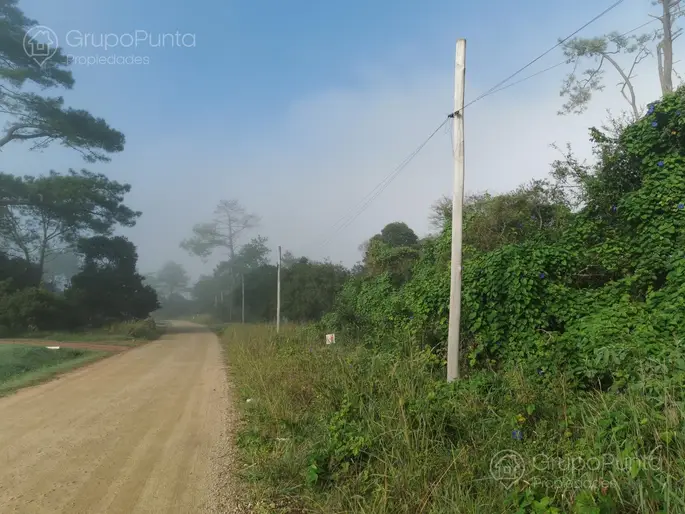 imagen  de la propiedad 285040