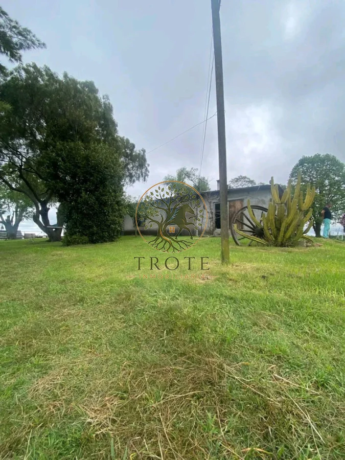 Chacra en Sauce, propiedad 283037 -Imagen 5