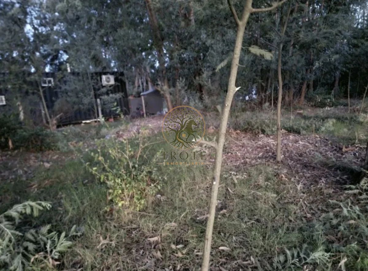 Terreno en Fortín de Santa Rosa, propiedad 283393 -Imagen 3