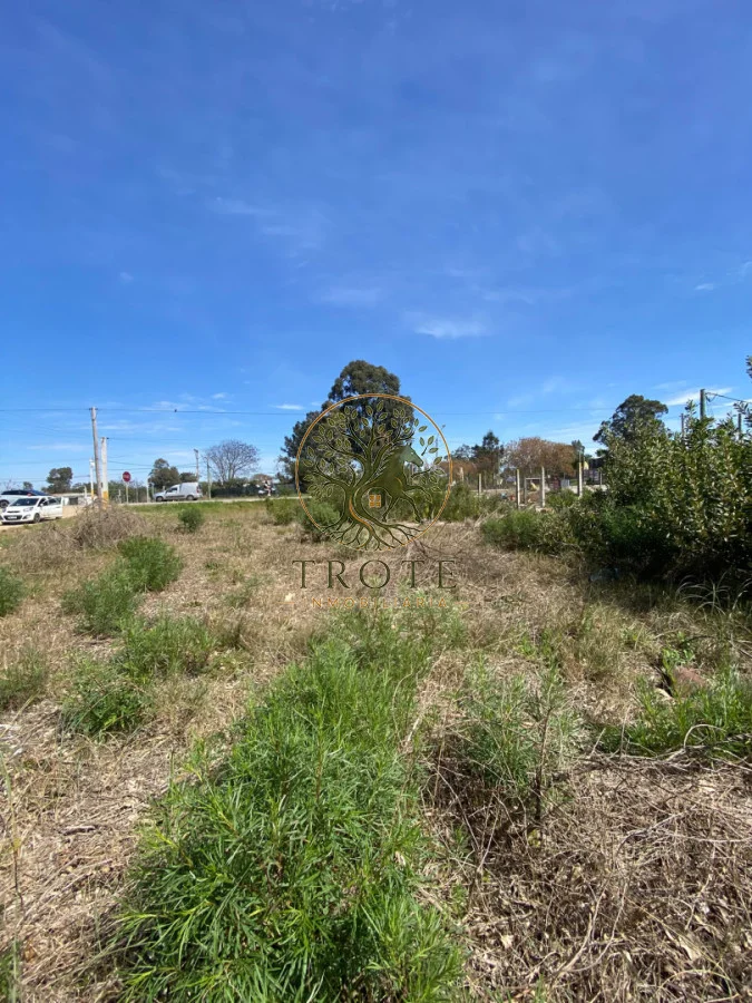 Terreno en Salinas, propiedad 297240 -Imagen 2