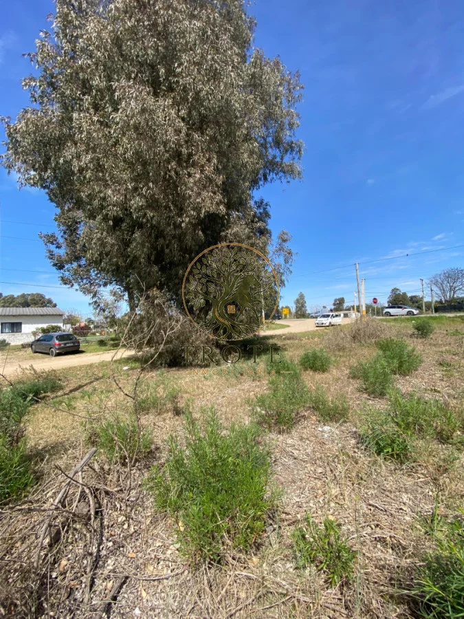Terreno en Salinas, propiedad 297240 -Imagen 4