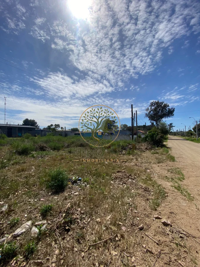 Terreno en Salinas, propiedad 297240 -Imagen 5