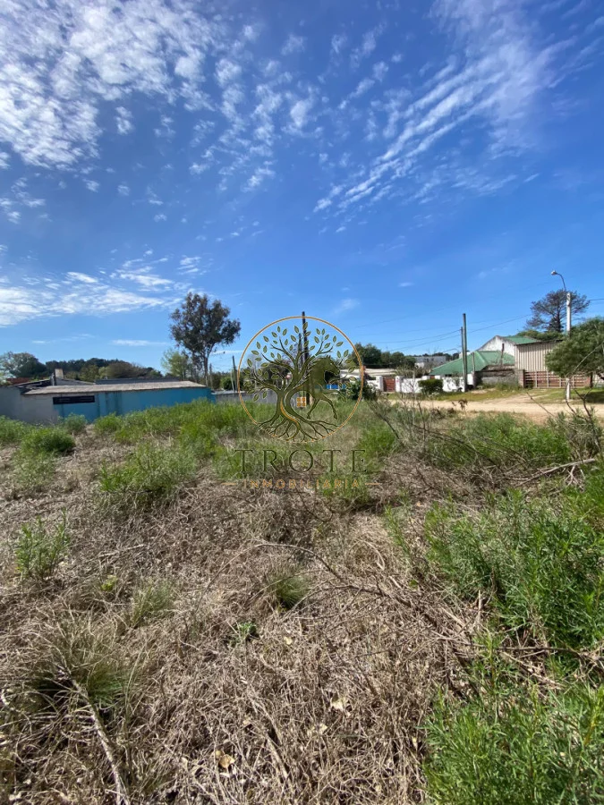 Terreno en Salinas, propiedad 297240 -Imagen 6