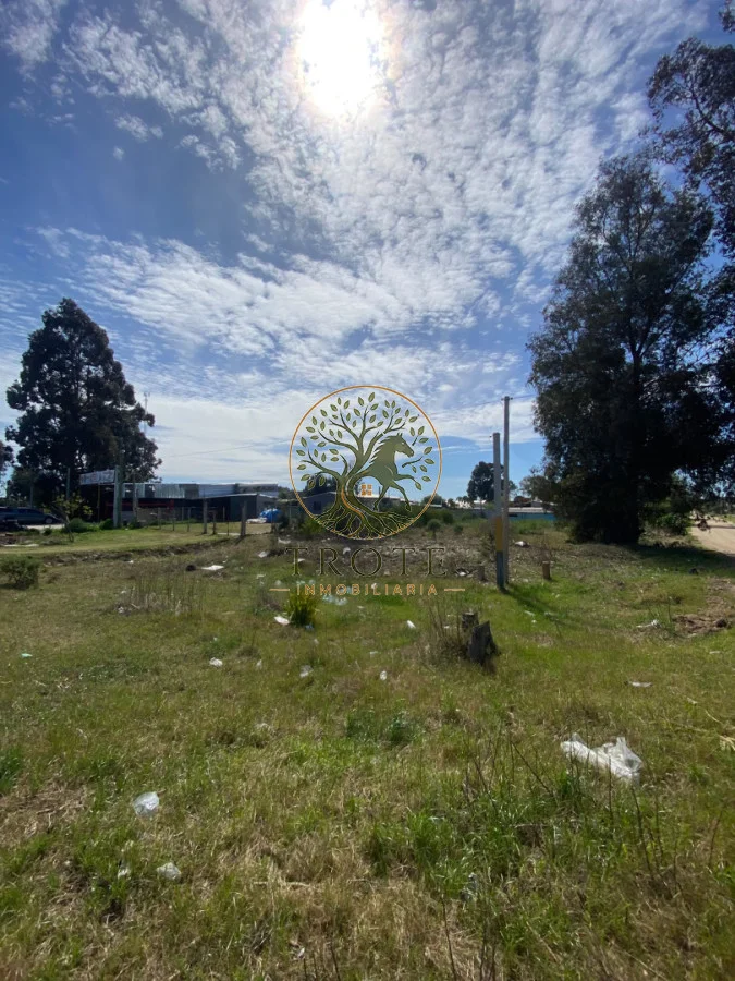 Terreno en Salinas, propiedad 297240 -Imagen 7