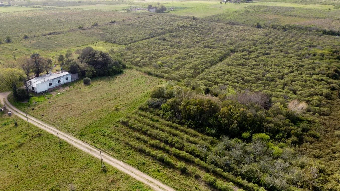 Chacra en Colón, propiedad 38990 -Imagen 1