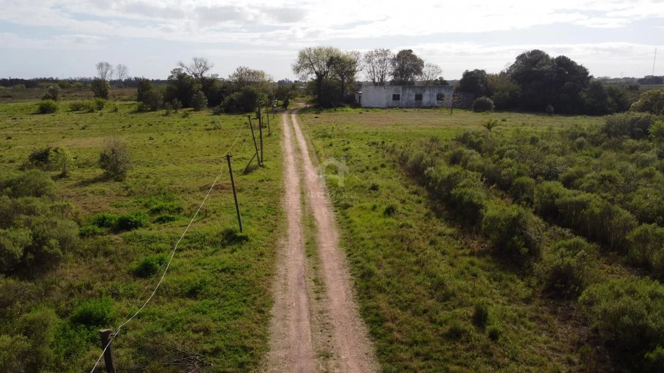 Chacra en Colón, propiedad 38990 -Imagen 11