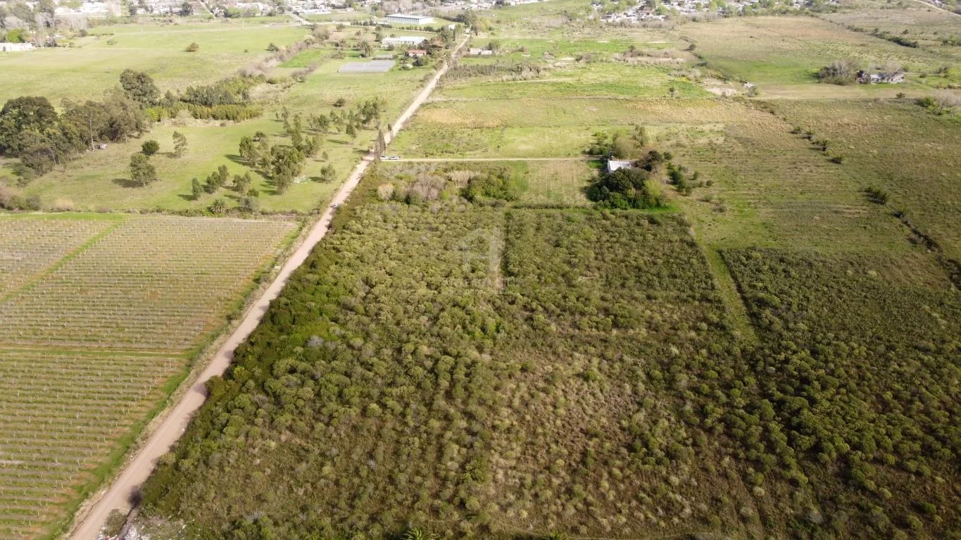 Chacra en Colón, propiedad 38990 -Imagen 4