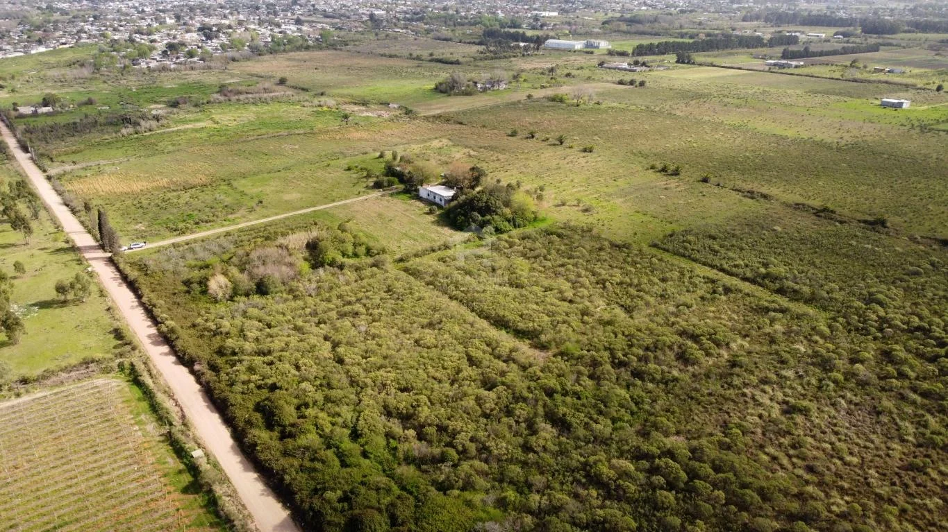 Chacra en Colón, propiedad 38990 -Imagen 6